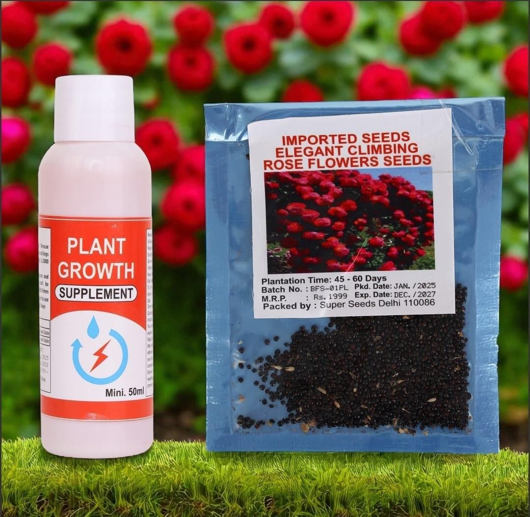 Rose Flower Seeds